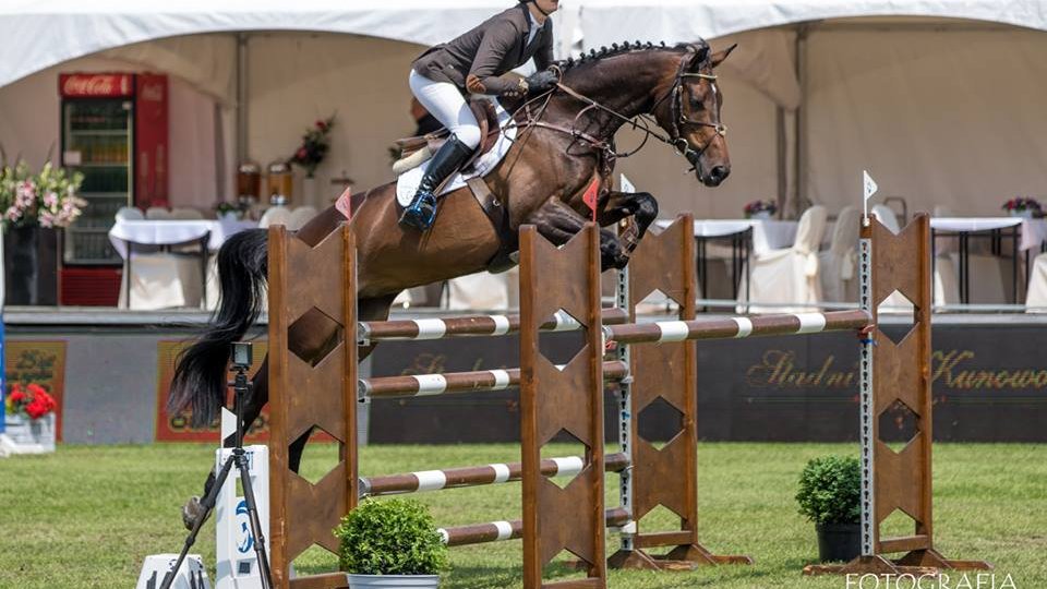 CSI*4 Poznań - Konkurs finałowy Młodych Koni