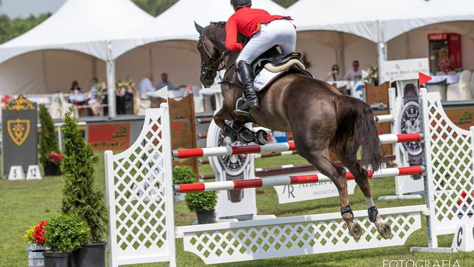 CSI*4 Poznań - Konkurs finałowy Młodych Koni