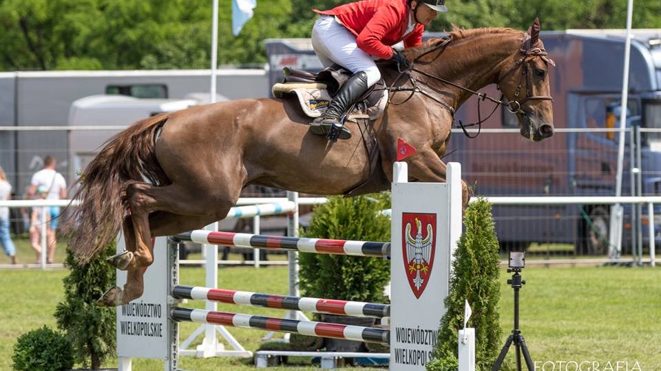 CSI*4 Poznań - Konkurs finałowy Młodych Koni