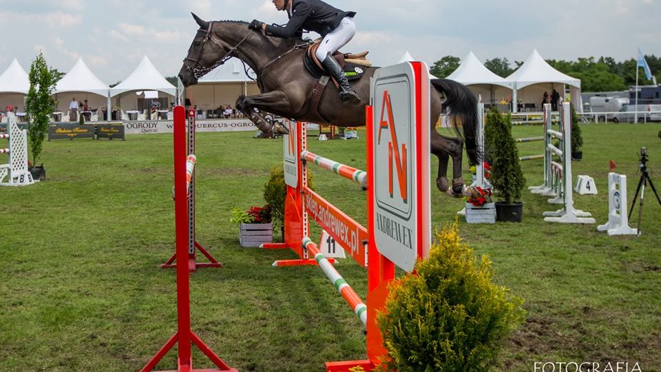 CSI*4 Poznań - Konkurs finałowy Młodych Koni