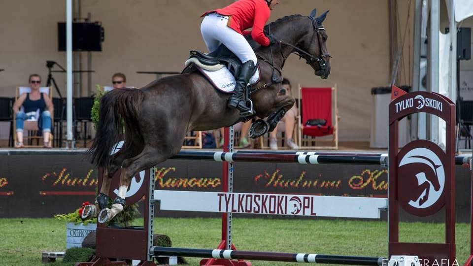 CSI*4 Poznań - Konkurs finałowy Młodych Koni