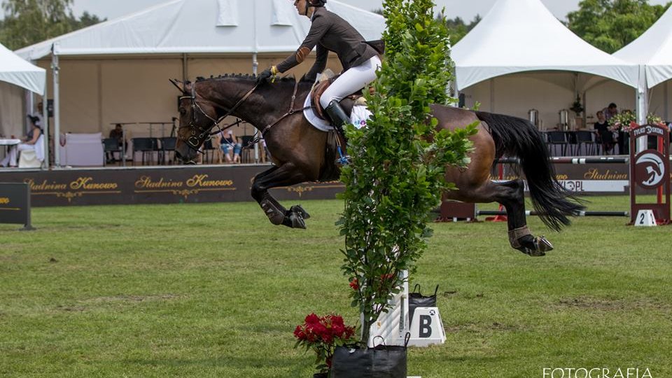 CSI*4 Poznań - Konkurs finałowy Młodych Koni