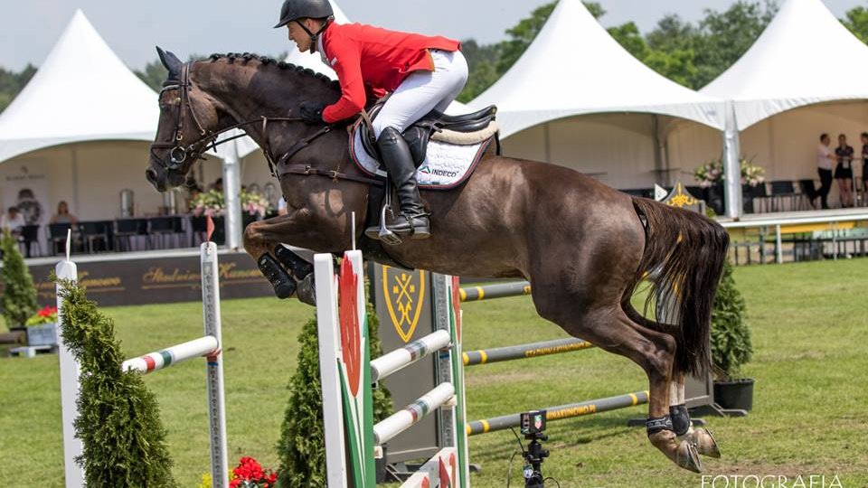 CSI*4 Poznań - Konkurs finałowy Młodych Koni