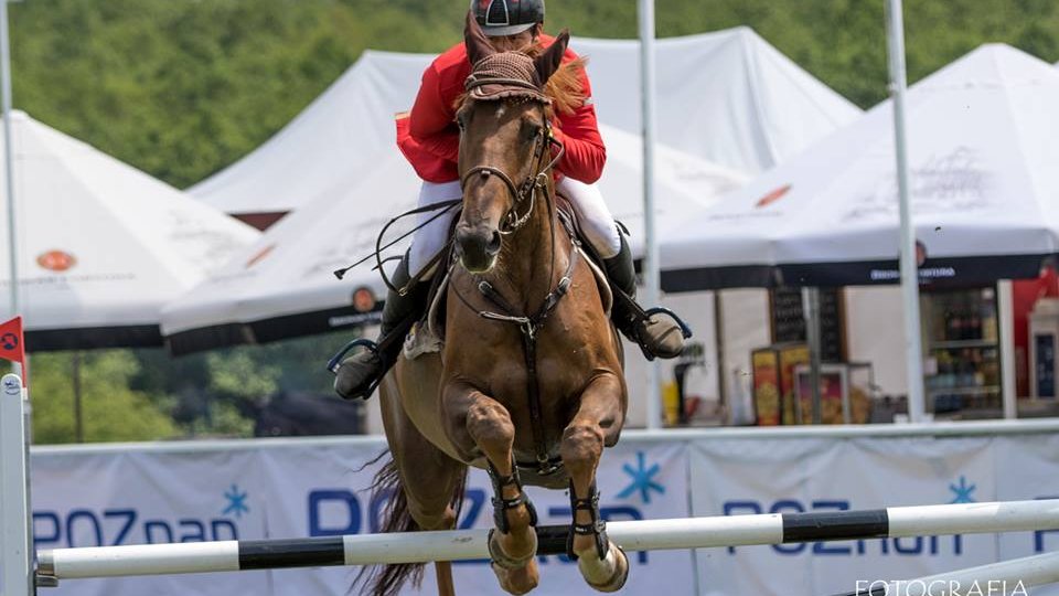 CSI*4 Poznań - Konkurs finałowy Młodych Koni