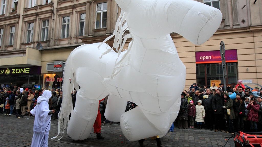 fot. Maciej Kaczyński