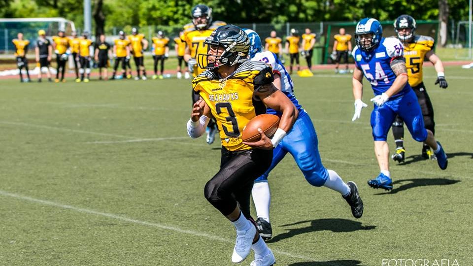 Kozły Poznań - Seahawks Gdynia