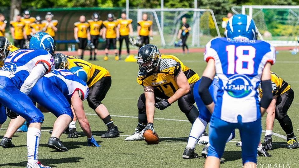 Kozły Poznań - Seahawks Gdynia