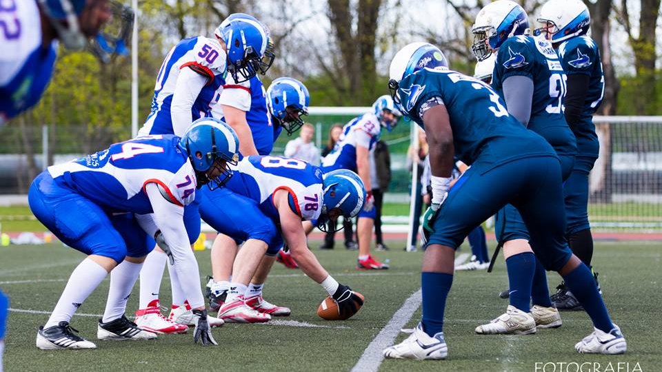 Kozły Poznań - Warsaw Sharks