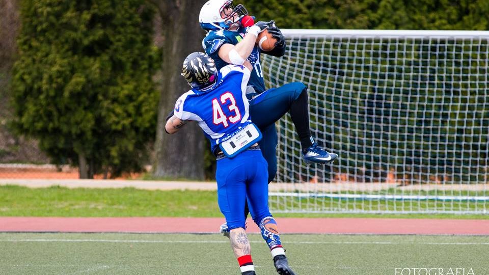 Kozły Poznań - Warsaw Sharks