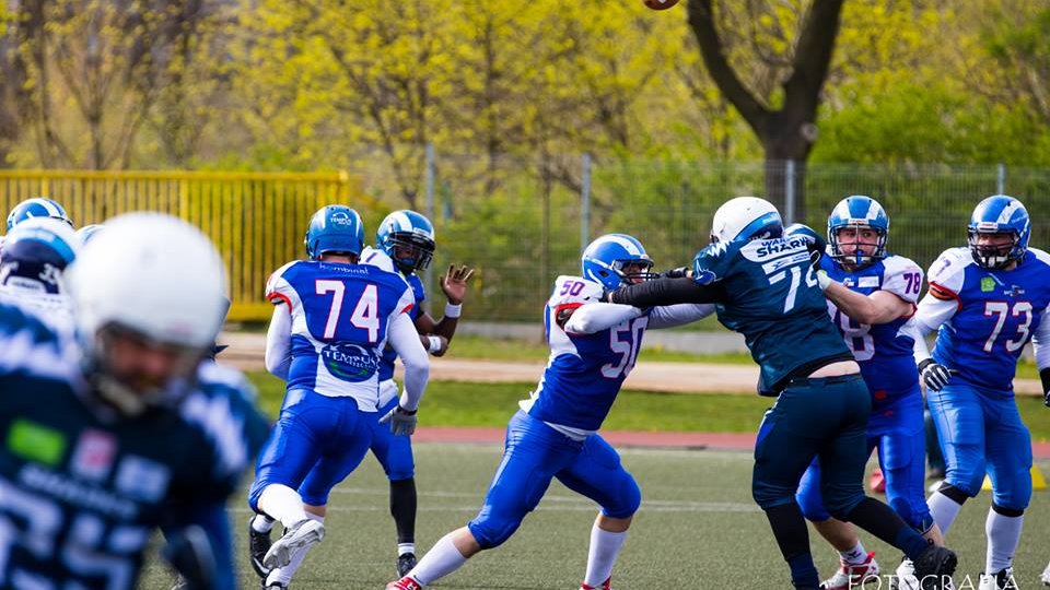 Kozły Poznań - Warsaw Sharks