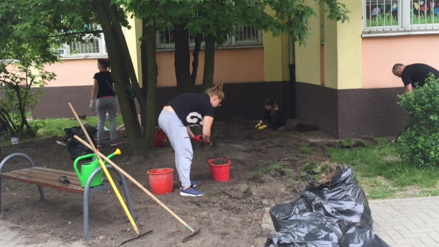 Odmień swoje podwórko 2016 Św. Marcin NASADZENIA