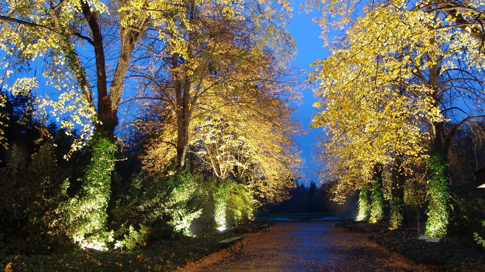 Ogród Botaniczny - fot. K. Fryś