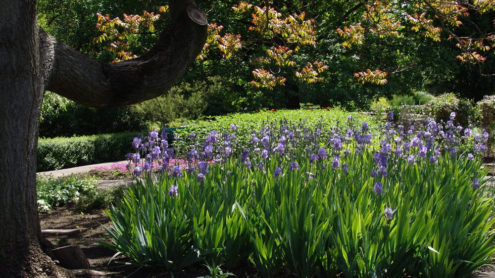 Ogród Botaniczny - fot. K. Fryś