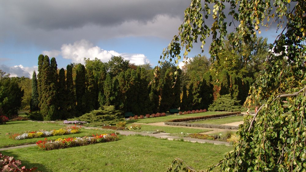 Ogród Botaniczny - fot. K. Fryś