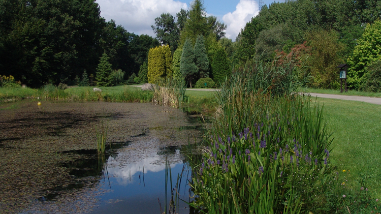 Ogród Botaniczny - fot. K. Fryś