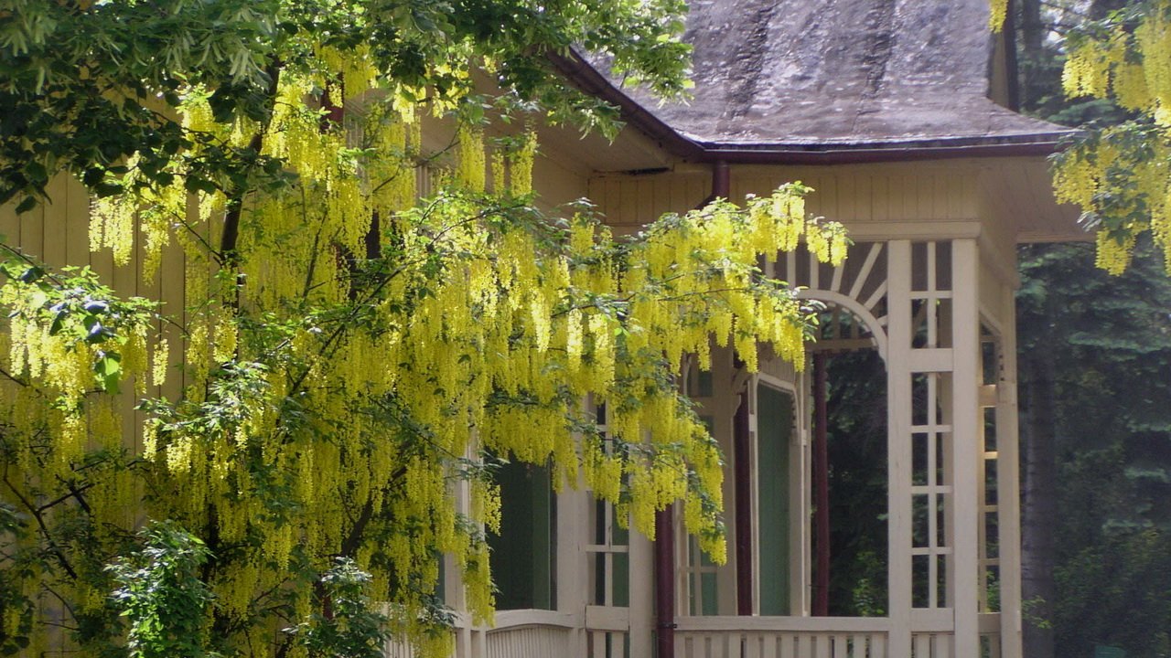 Ogród Botaniczny