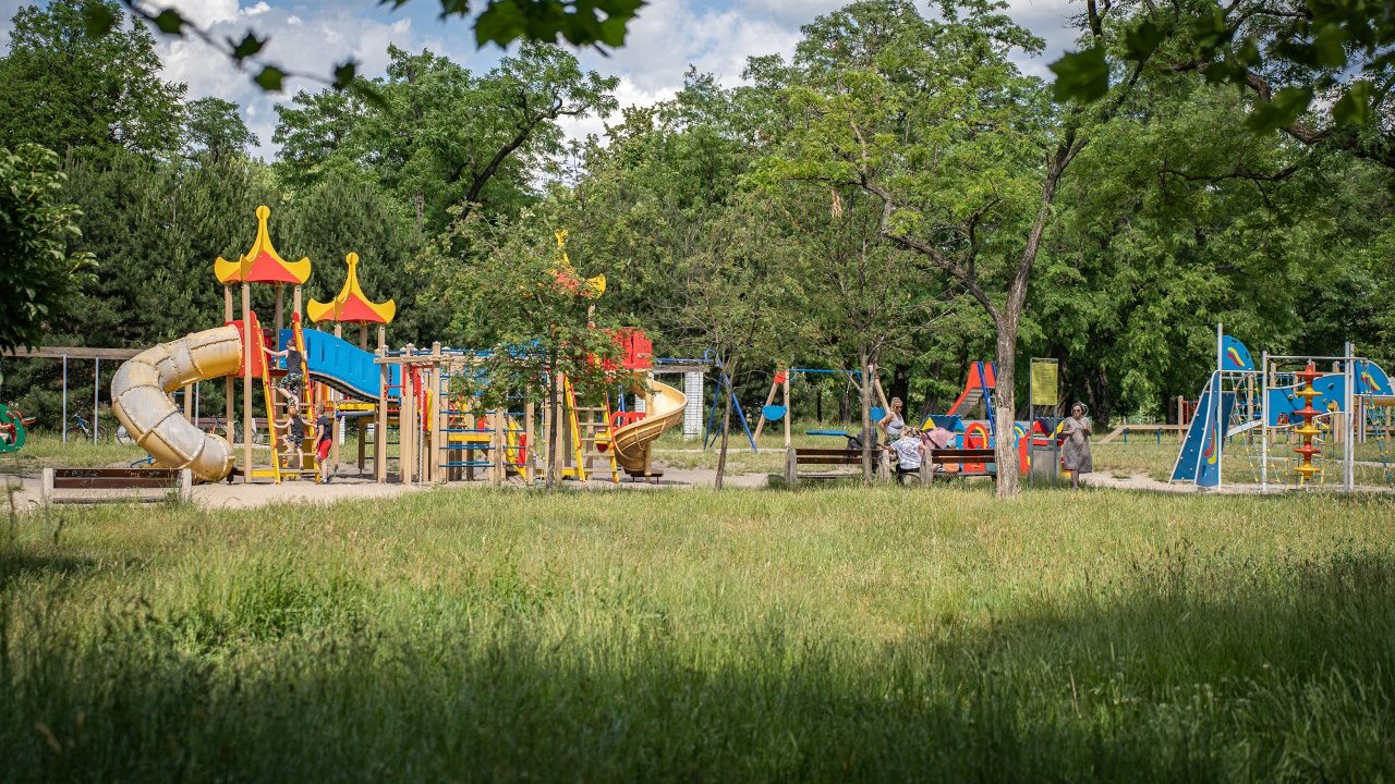 Kolorowy plac zabaw wśród zieleni