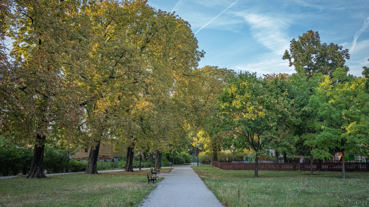 Prosta ściezka przez jesienny park