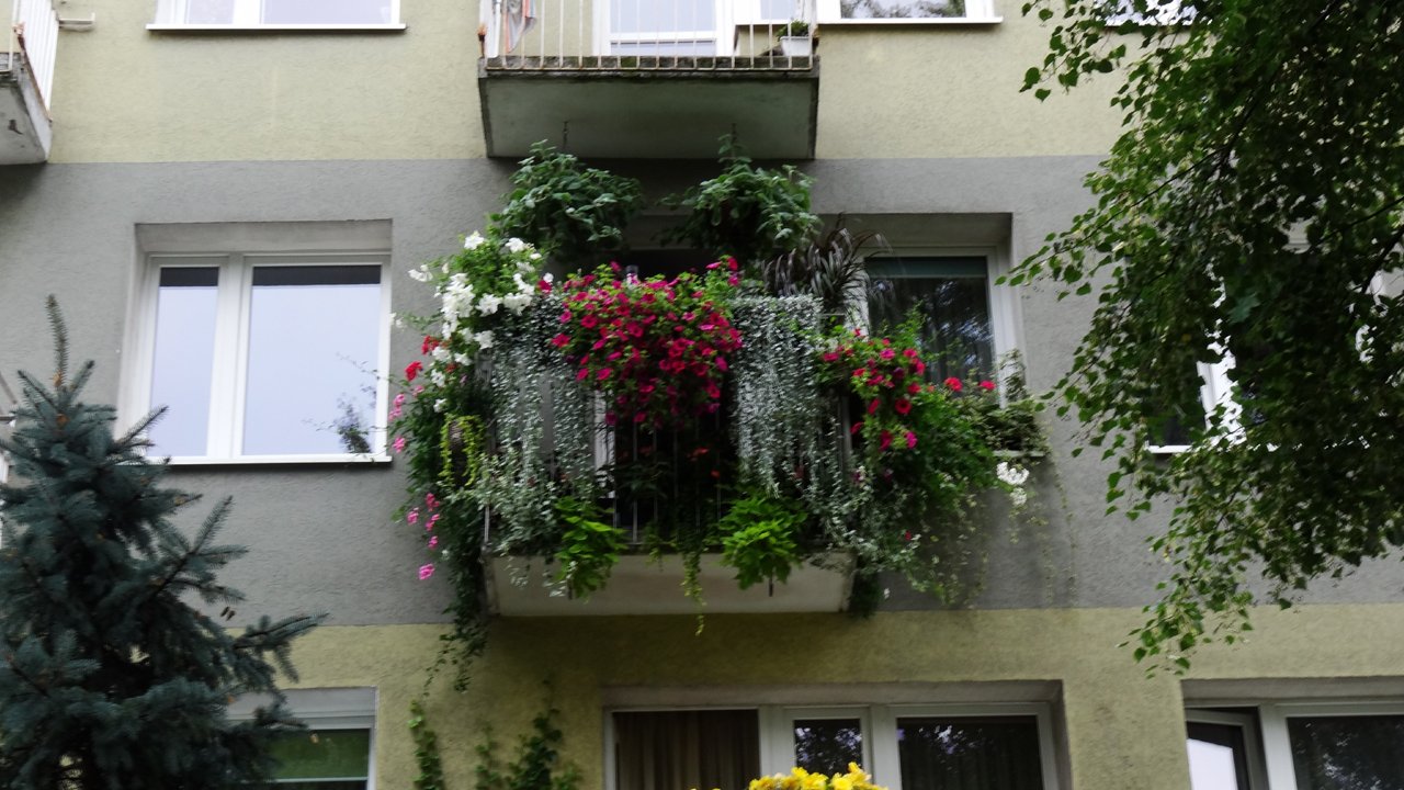 wyróżnienie - balkon - niekonwencjonalny dobór roślin i ciekawa aranżacja