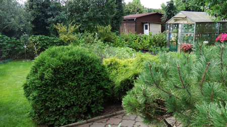 wyróżnienie Ogrodu Botanicznego UAM za „Ogród zrównoważonego rozwoju”