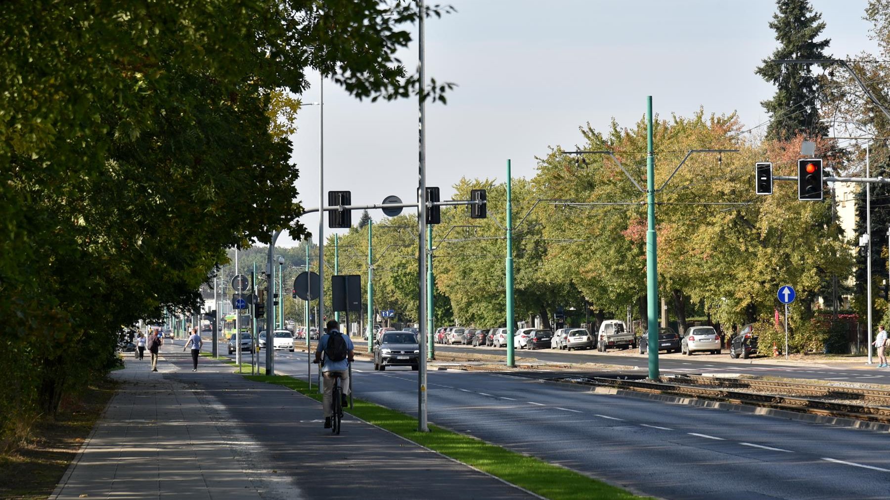 Nowa droga rowerowa wzdłuż ul. Grunwaldzkiej. Po lewej stronie drzewa, po prawej - ulica i tory tramwajowe - grafika artykułu