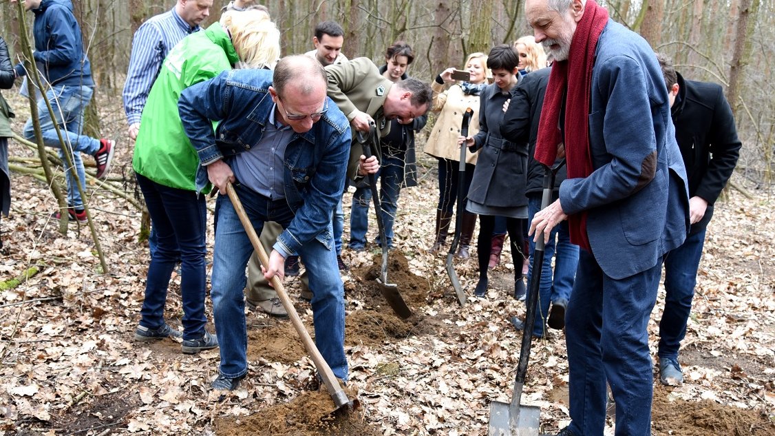 Sadzenie drzew w Lasku Marcelińskim