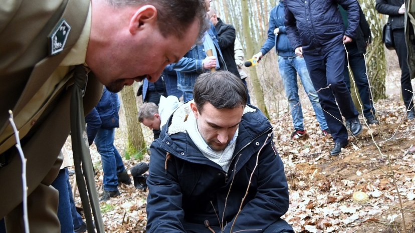 Sadzenie drzew w Lasku Marcelińskim