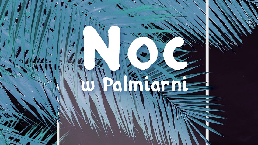 Noc w Palmiarni