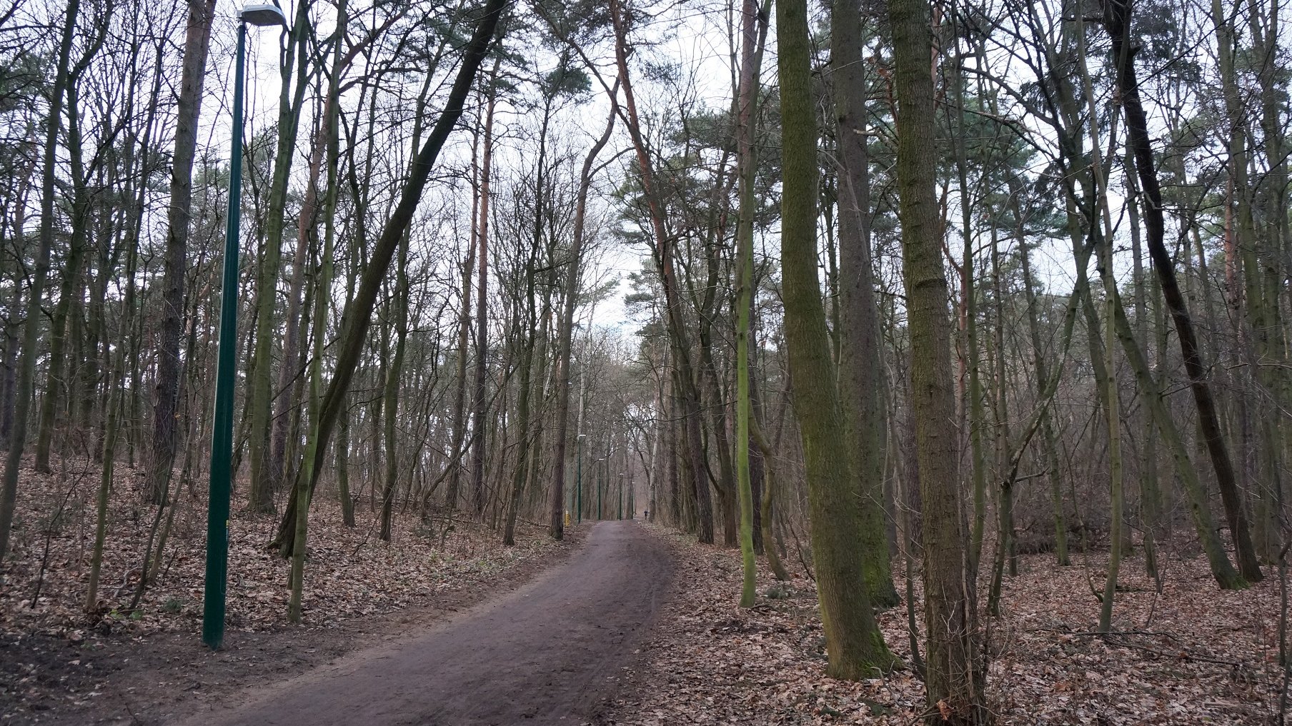 Koło jeziora Rusałka stanęło kilkadziesiąt lamp fot WTiZ