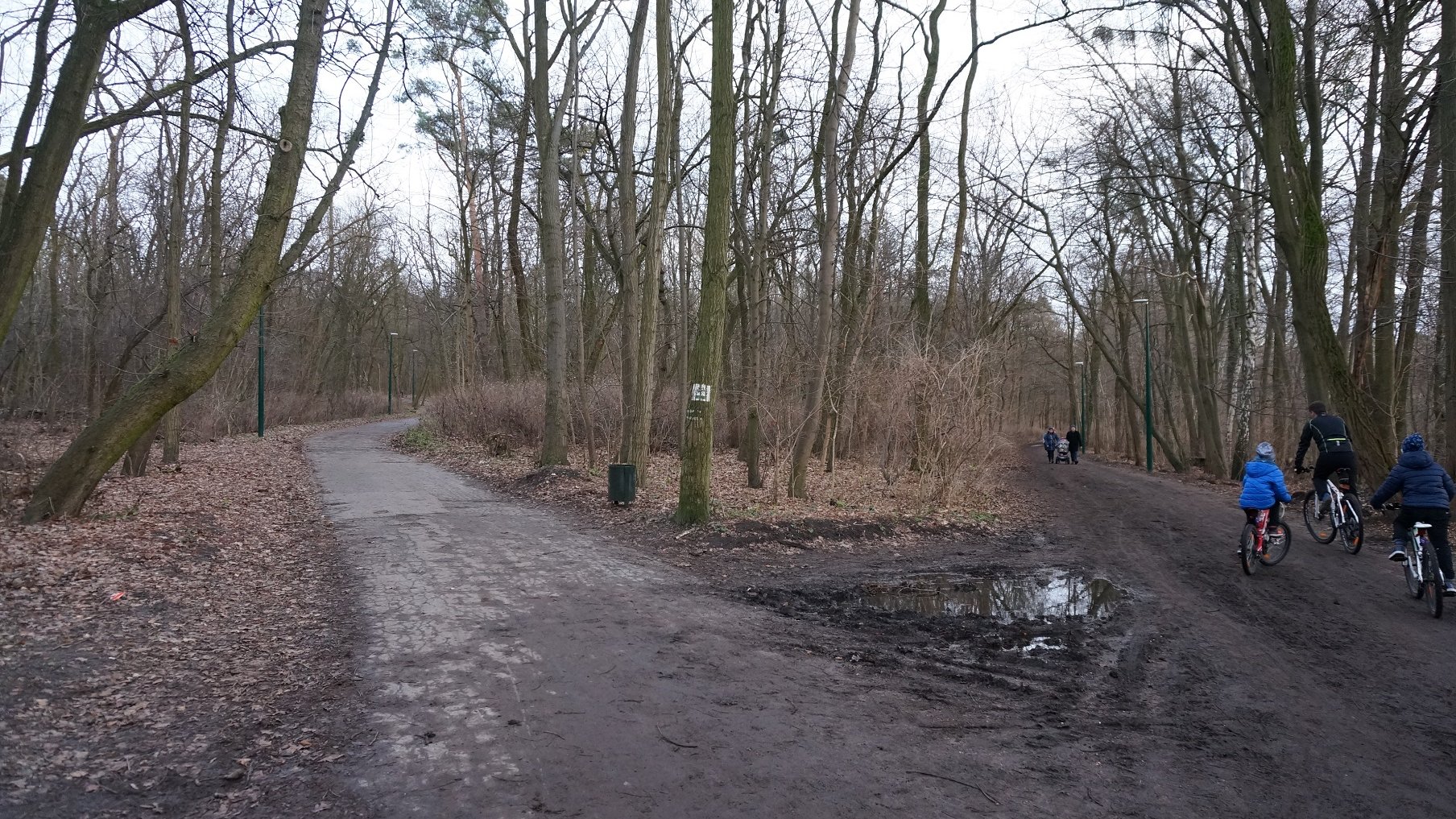 Koło jeziora Rusałka stanęło kilkadziesiąt lamp fot WTiZ