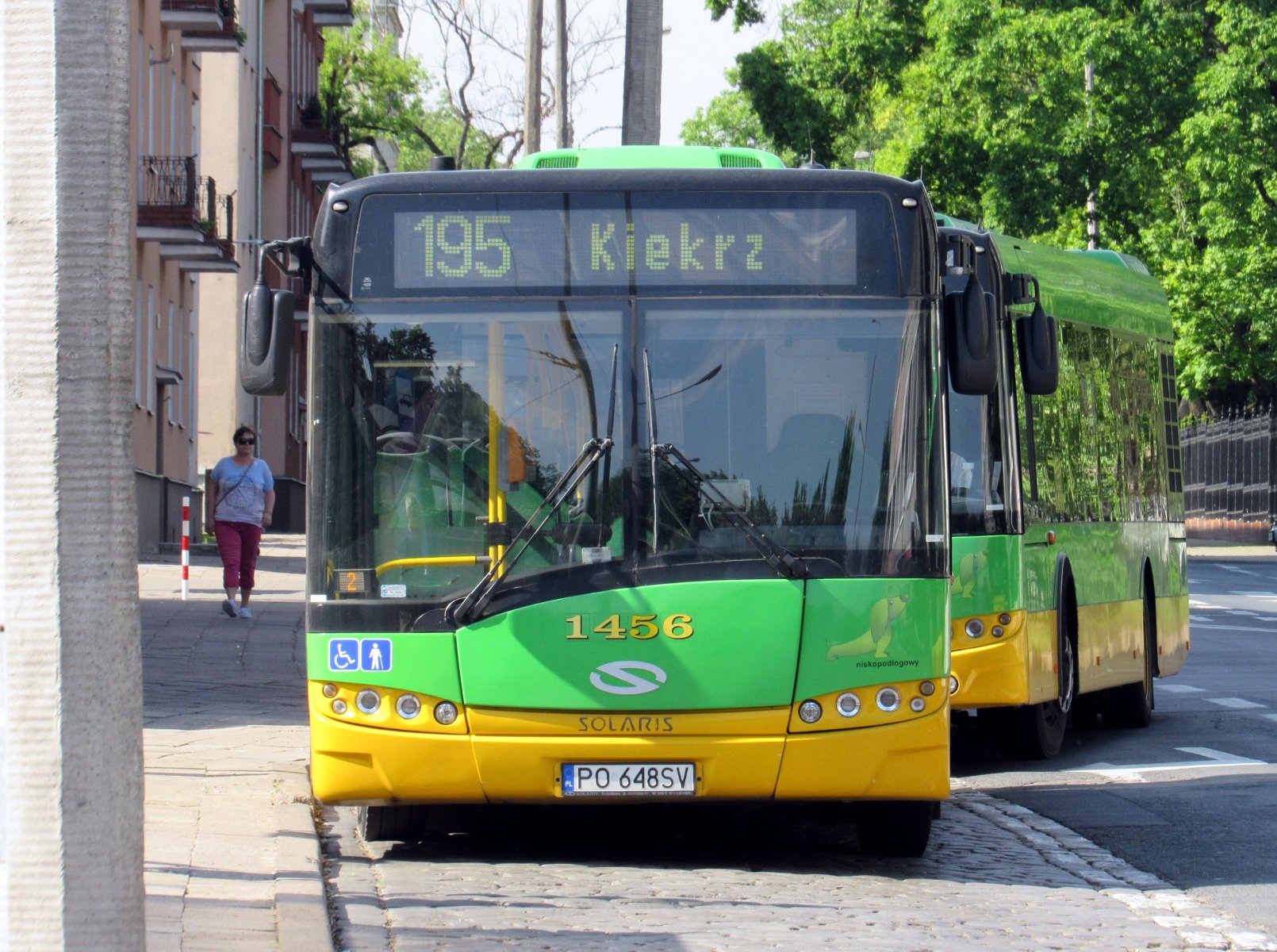 Autobus linii nr 195 - grafika artykułu