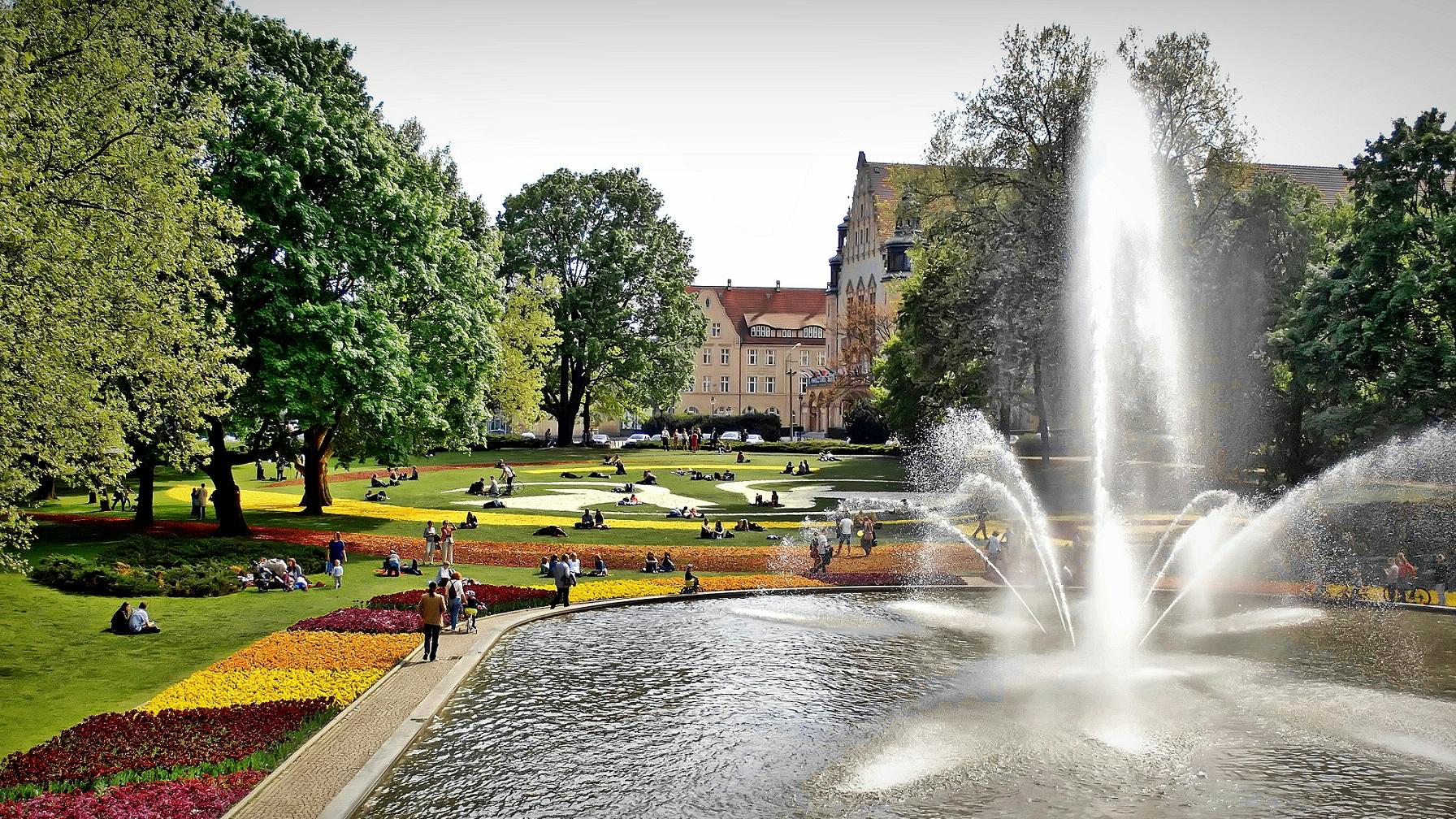 Poznań to zielona metropolia - grafika artykułu