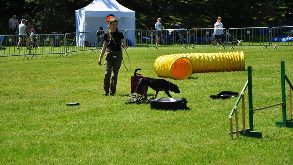 Piknik edukacyjny jest organizowany w ramach programu miejskiego "Kejter też poznaniak"