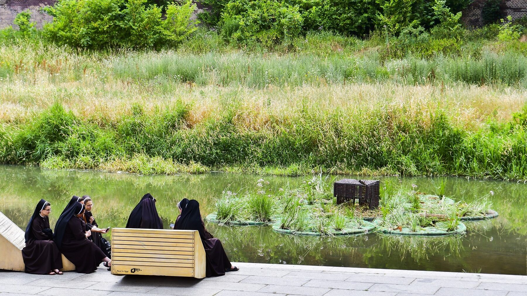 Na rzece Cybinie, w sąsiedztwie Bramy Poznania, pojawiły się pływające ogrody/ fot. fot. Michał Strokowski