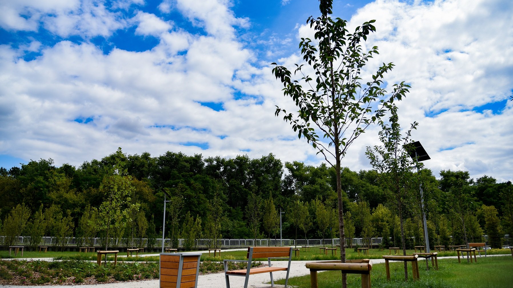 Mieszkańcy Poznania zyskali nowy park przy ul. Dolna Wilda