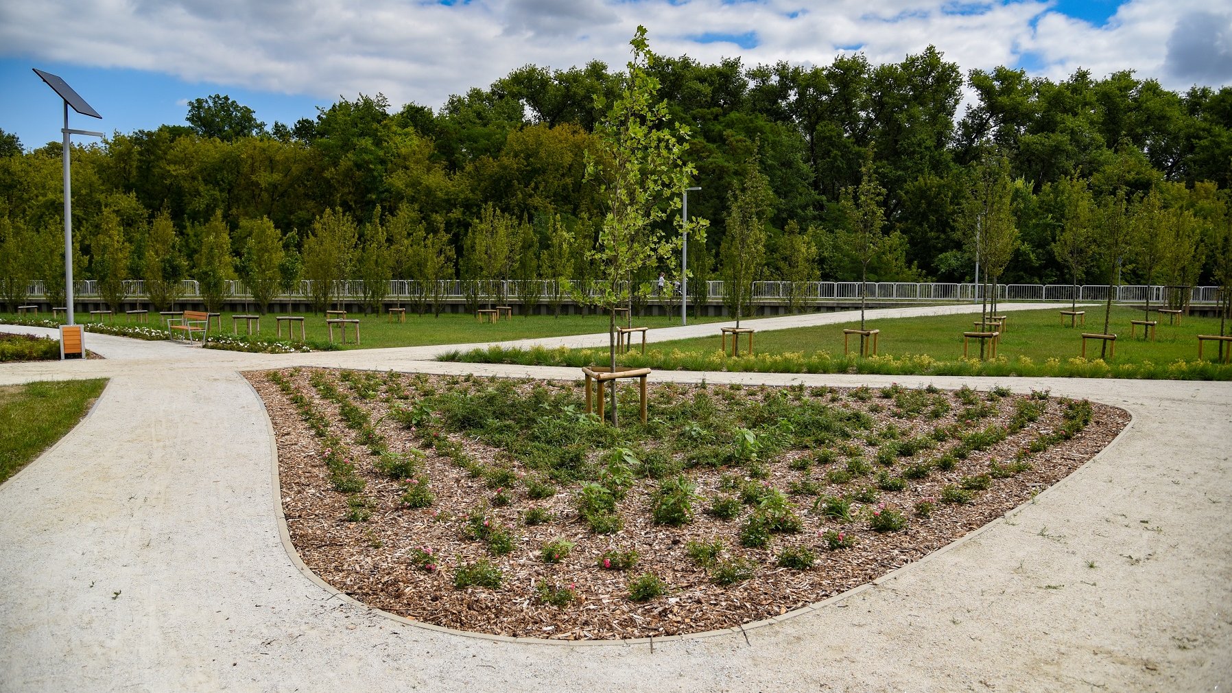 Mieszkańcy Poznania zyskali nowy park przy ul. Dolna Wilda