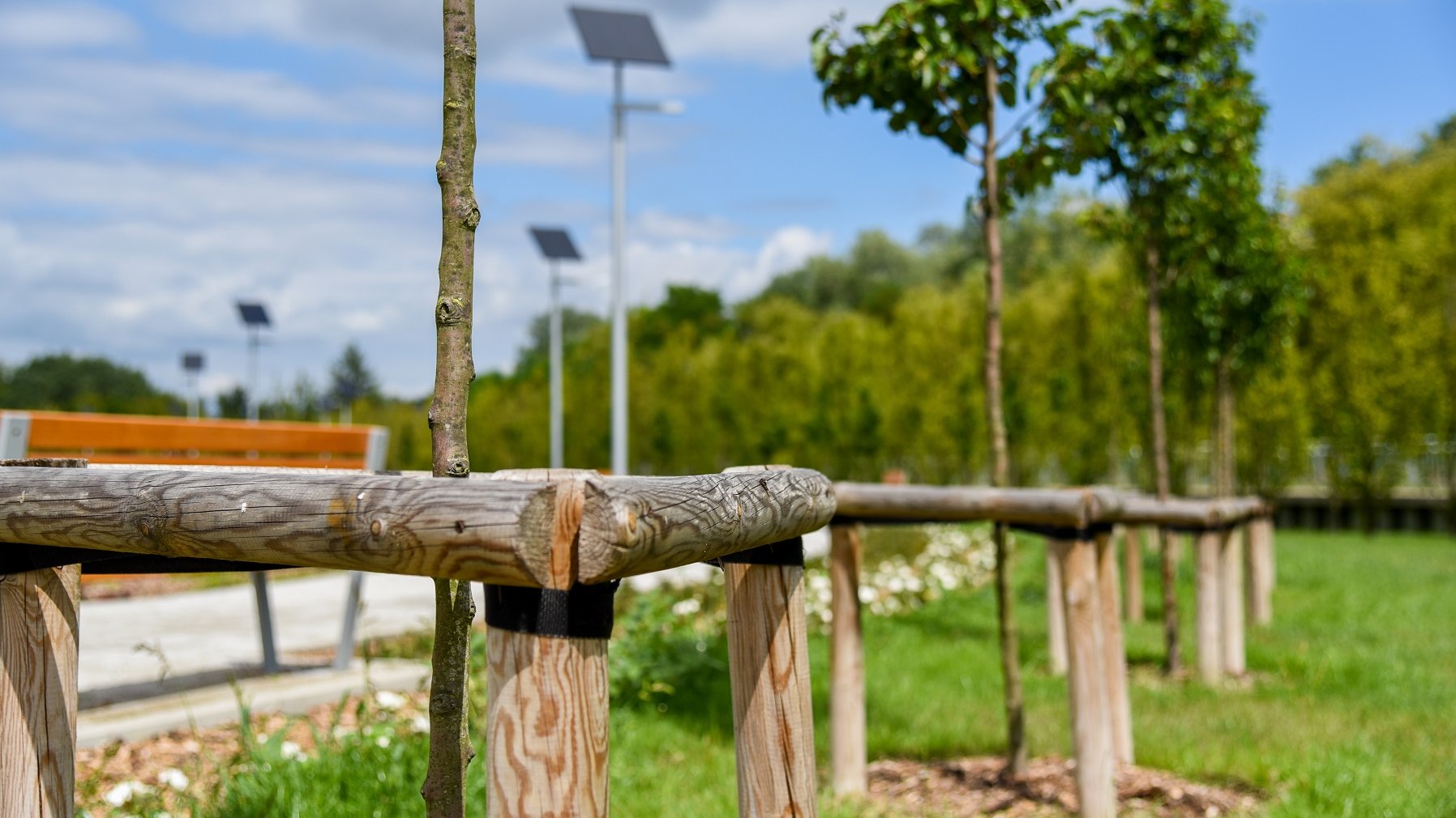 Mieszkańcy Poznania zyskali nowy park przy ul. Dolna Wilda