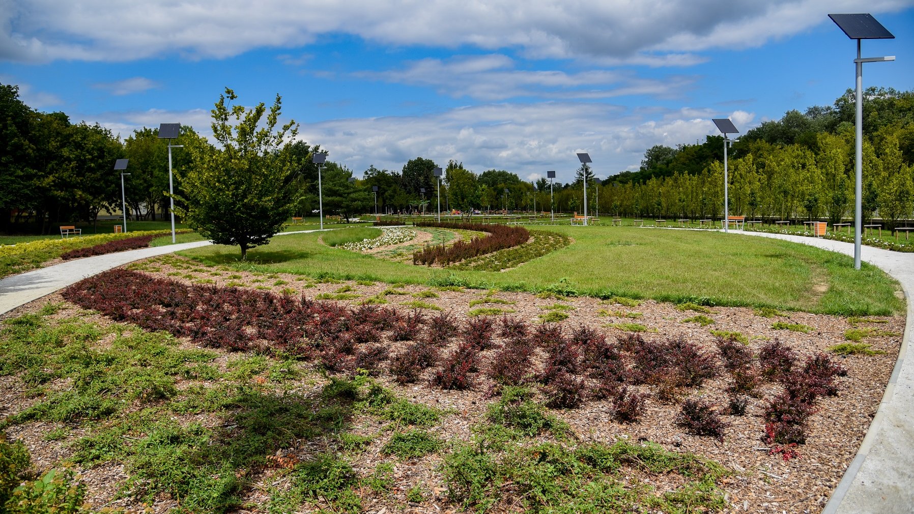 Mieszkańcy Poznania zyskali nowy park przy ul. Dolna Wilda