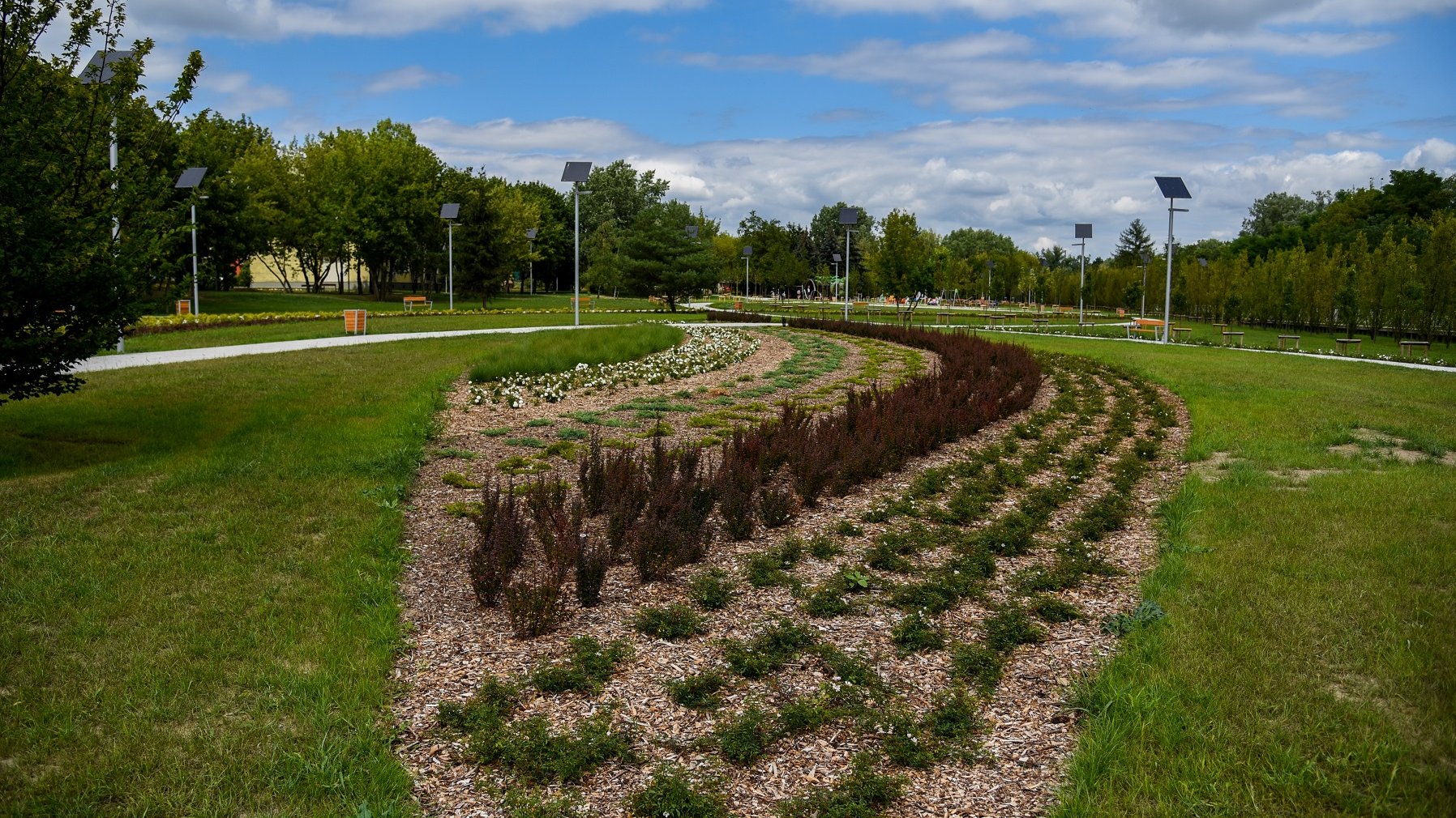 Mieszkańcy Poznania zyskali nowy park przy ul. Dolna Wilda