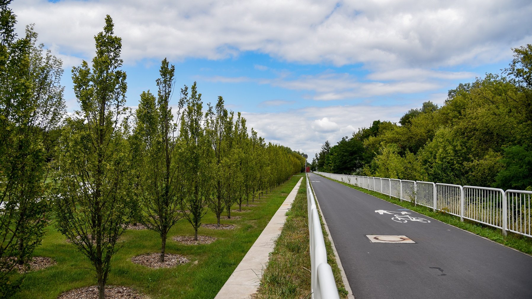 Mieszkańcy Poznania zyskali nowy park przy ul. Dolna Wilda