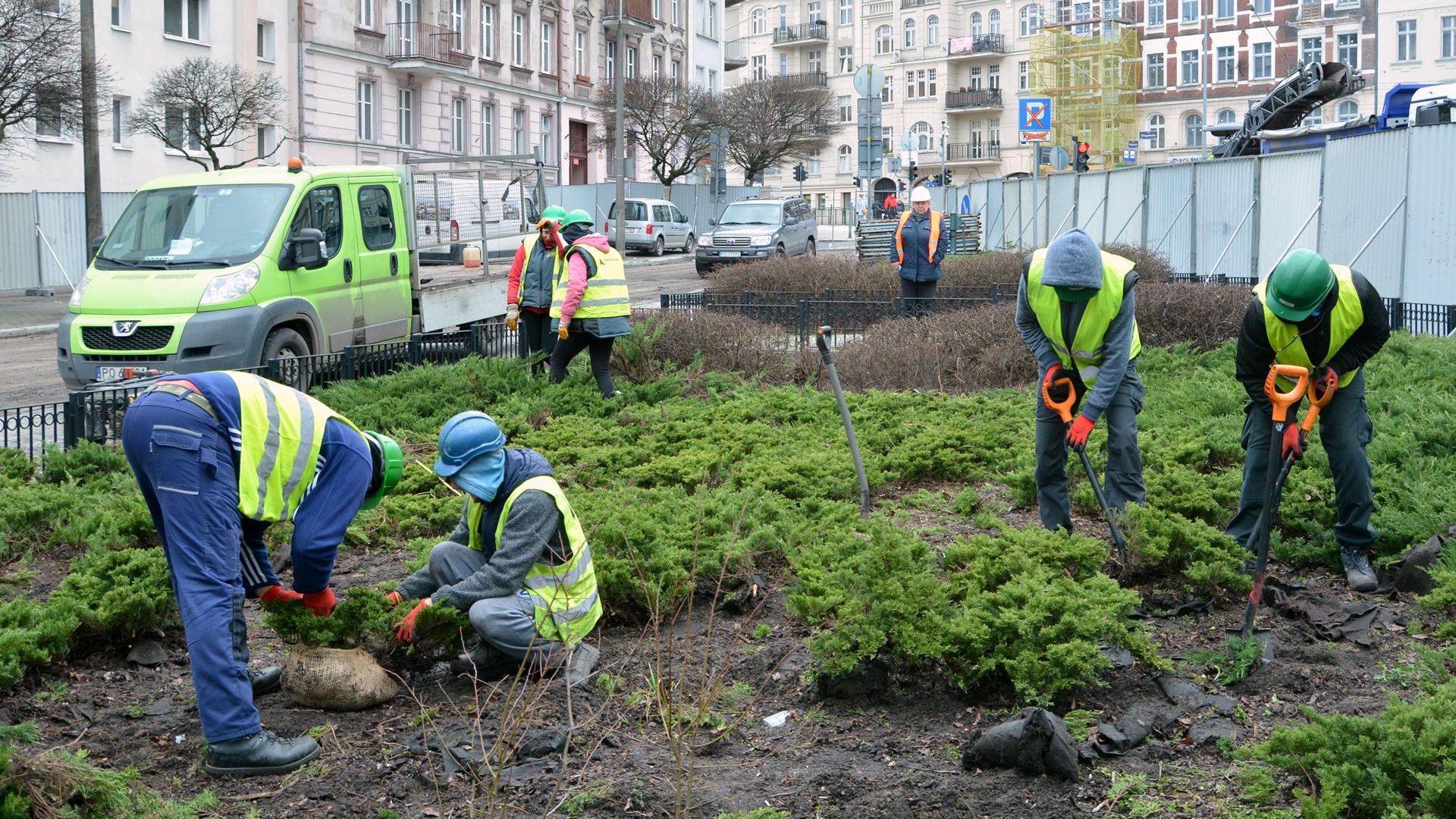 Przesadzanie krzewów już się rozpoczęło