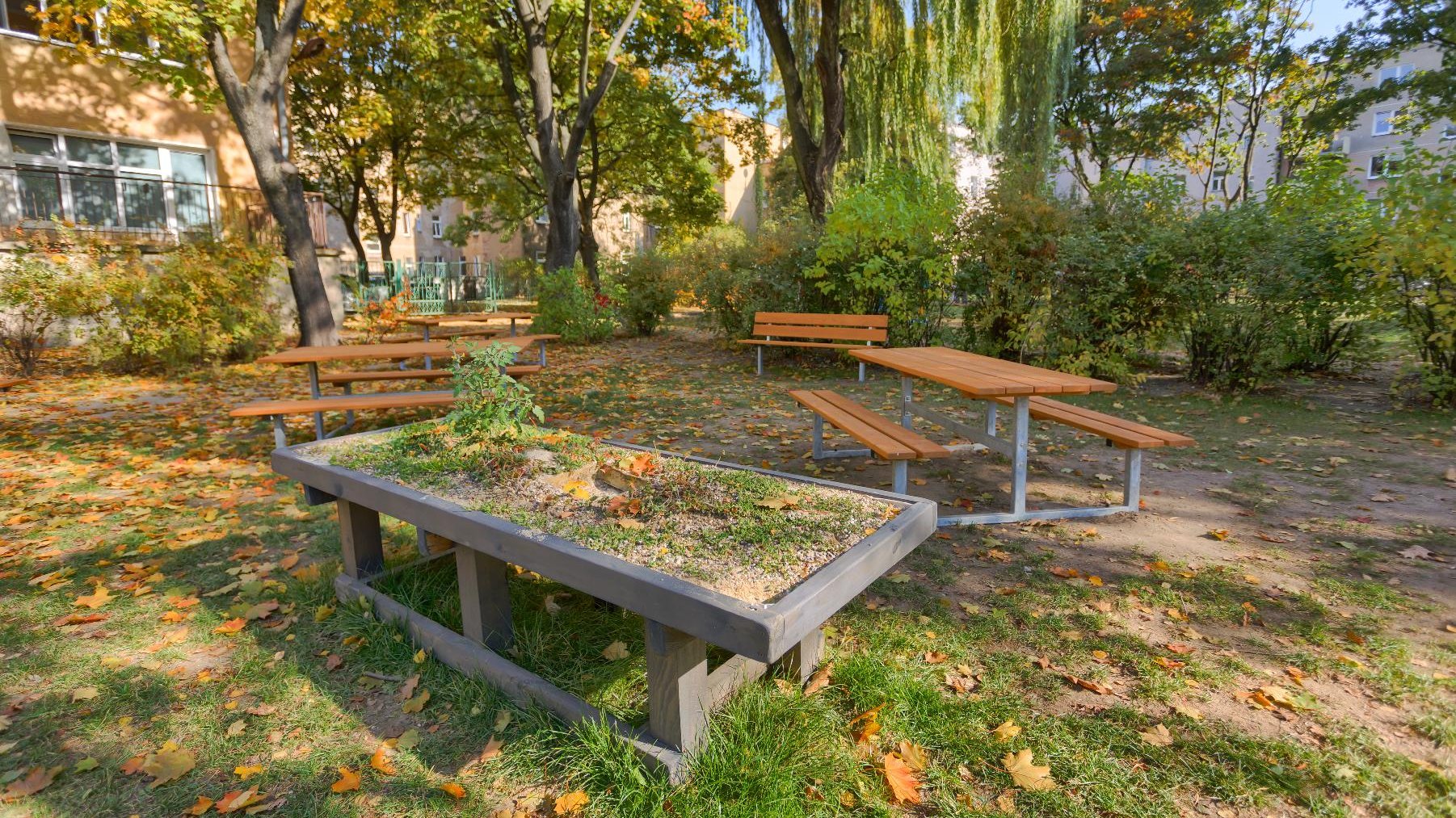 Przy poznańskich przedszkolach powstają naturalne place zabaw/ fot. Piotr Bedliński