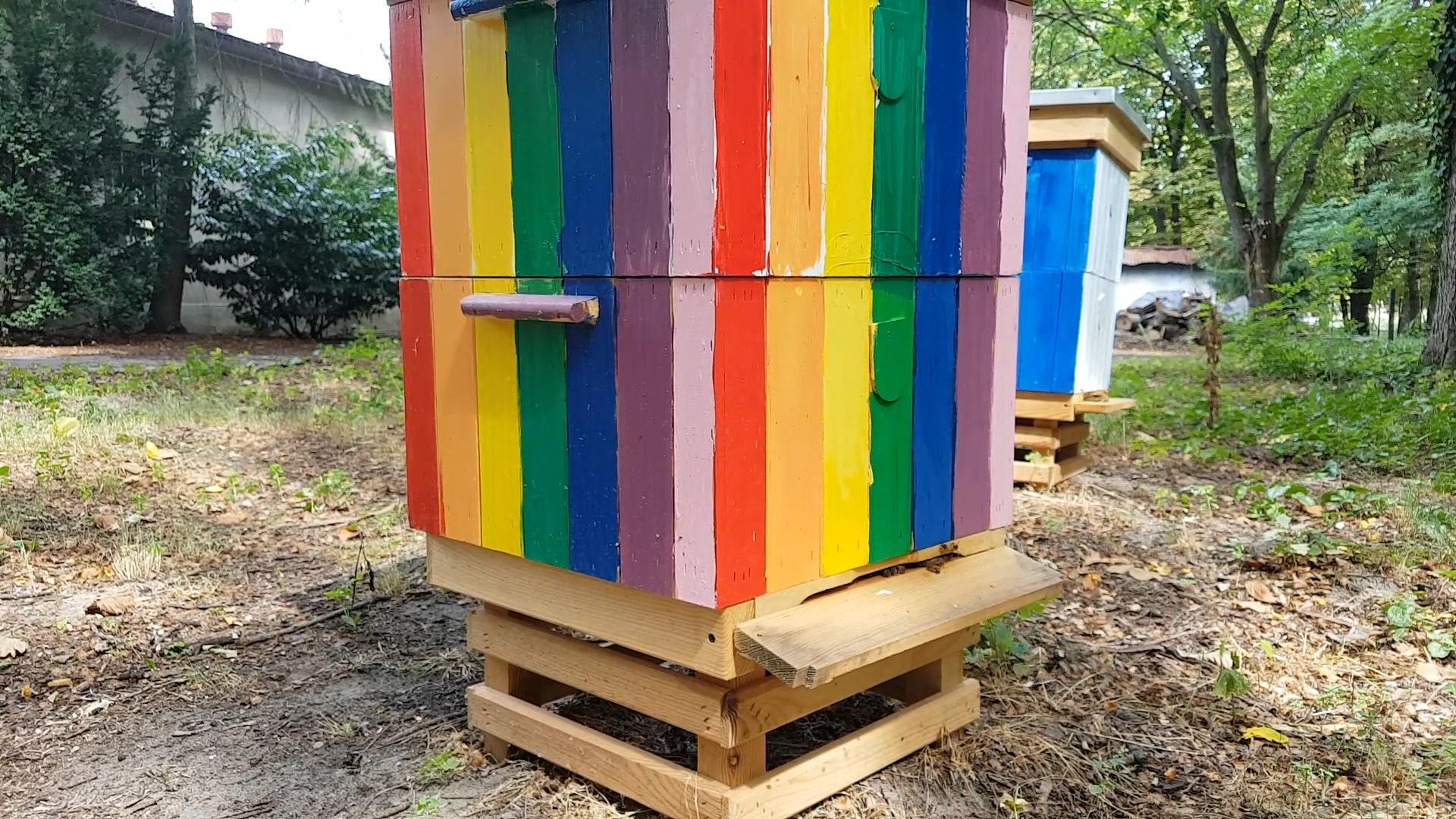 Miejskie pasieki służą już pszczołom od 2019 r. na terenie poznańskiej Cytadeli