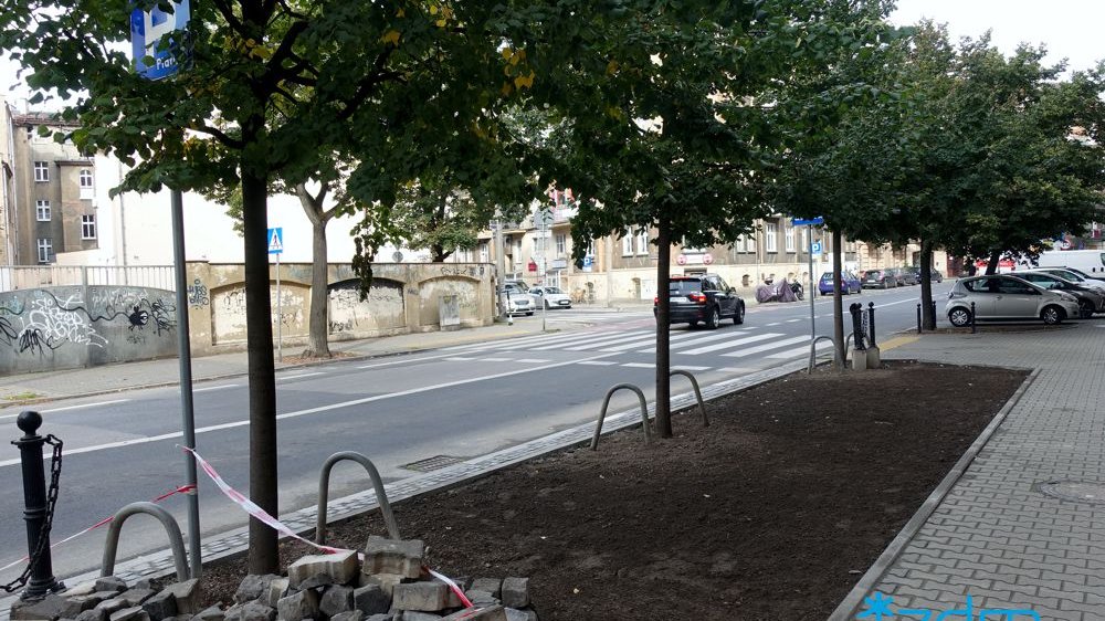 odbrukowany teren z ziemią przygotowany do nasadzeń. Wzdłuż ulicy rosną kilkumetrowe drzewa. W tle jadący samochód i parkujące auta po obu stronach ulicy