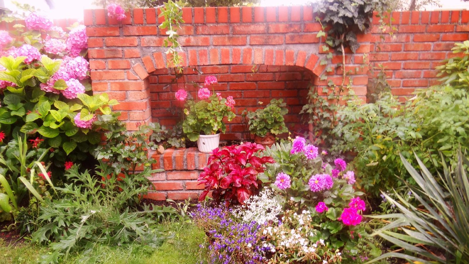Zdjęcie przedstawia kolorowe kwiaty na tle ściany z czerwonej cegły.