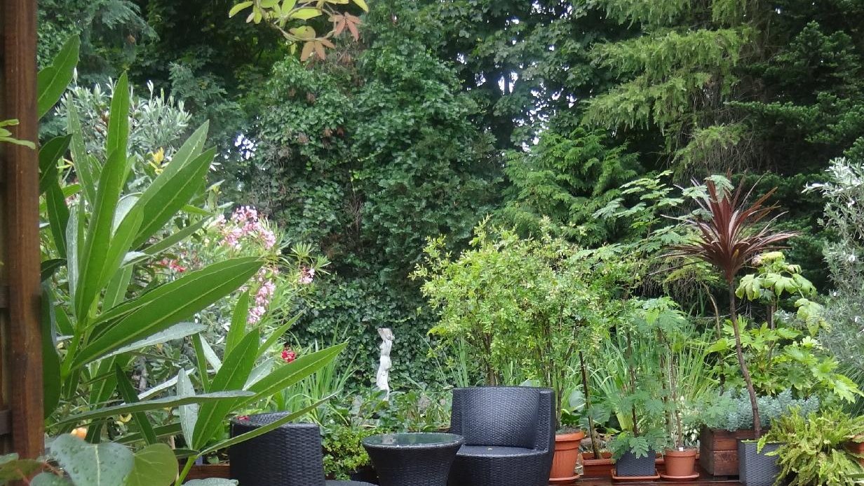 Zdjęcie przedstawia stół z fotelami na tle roślin.