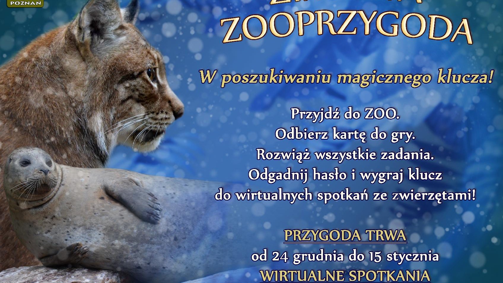 Plakat zapowiadający zabawę, przygotowaną przez zoo. Oprócz informacji tekstowej znajduje się na nim zdjęcie rysia i foki.