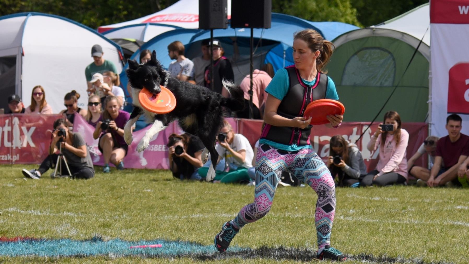 Zdjęcie przedstawia kobietę rzucającą frisbee psu. - grafika artykułu