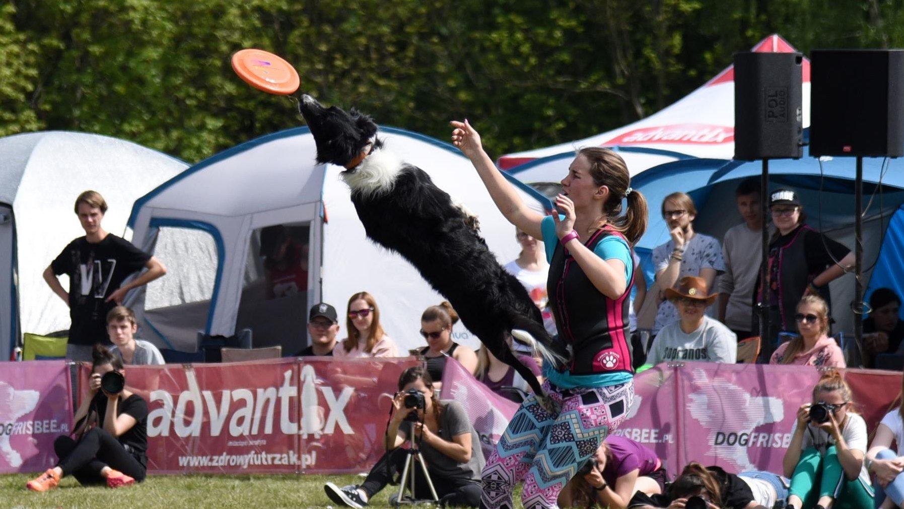 Zdjęcie przedstawia dziewczynę rzucającą psu frisbee i psa w locie.