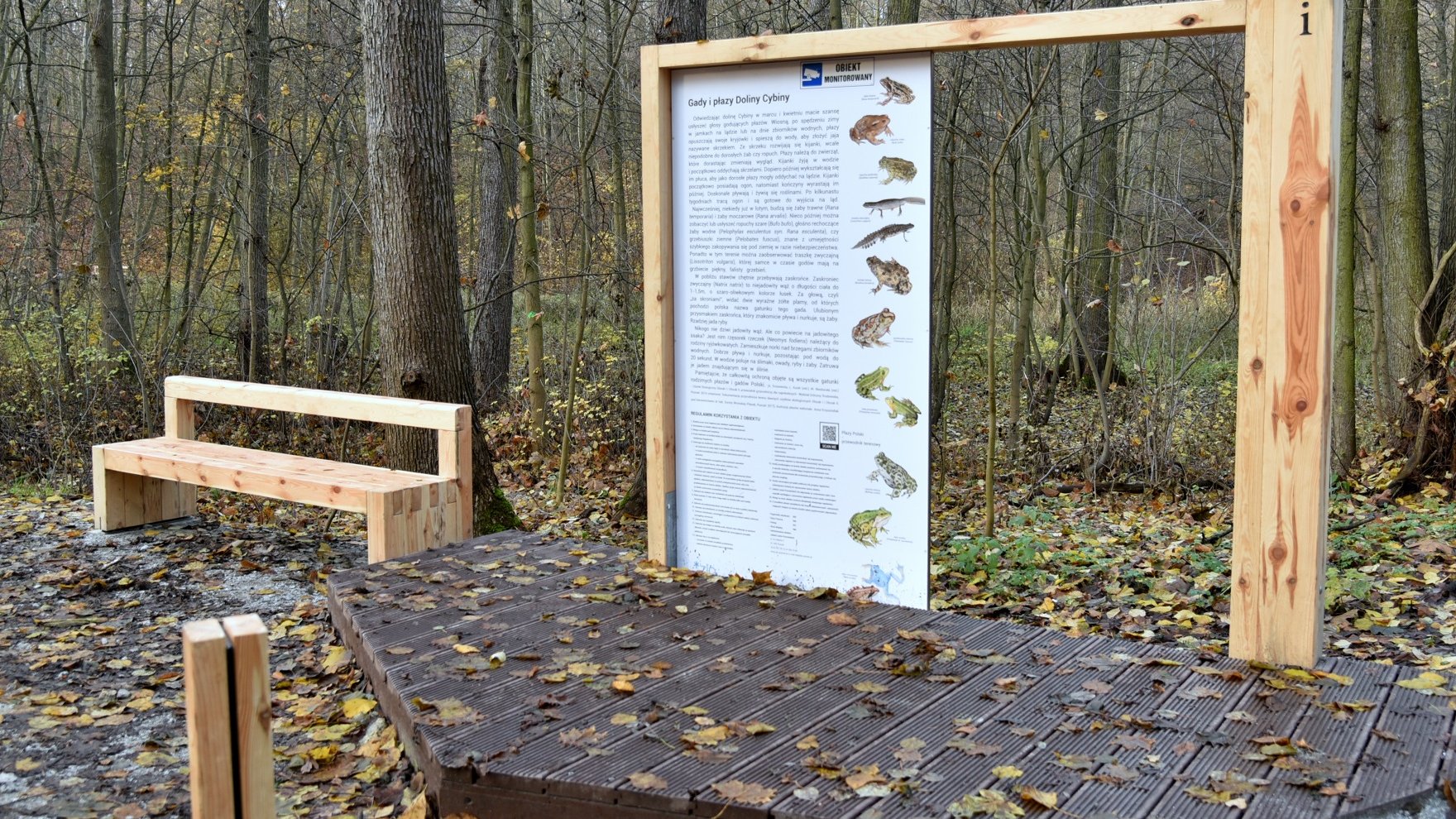 Zdjęcie przedstawia drewnianą ławkę i tablice edukacyjną z rysunkami gadów i płazów.